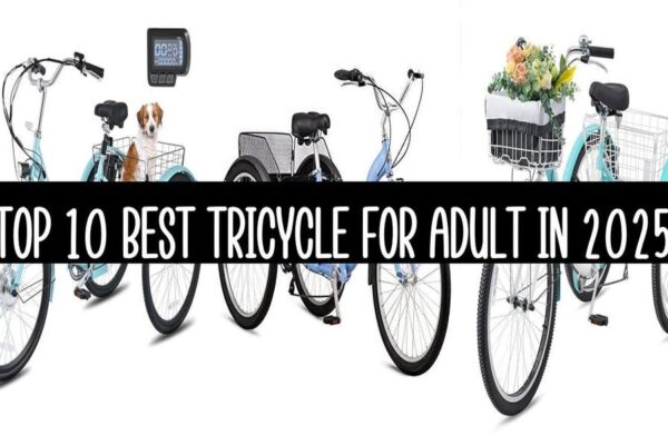 Top 10 Best Tricycle For Adult In 2025